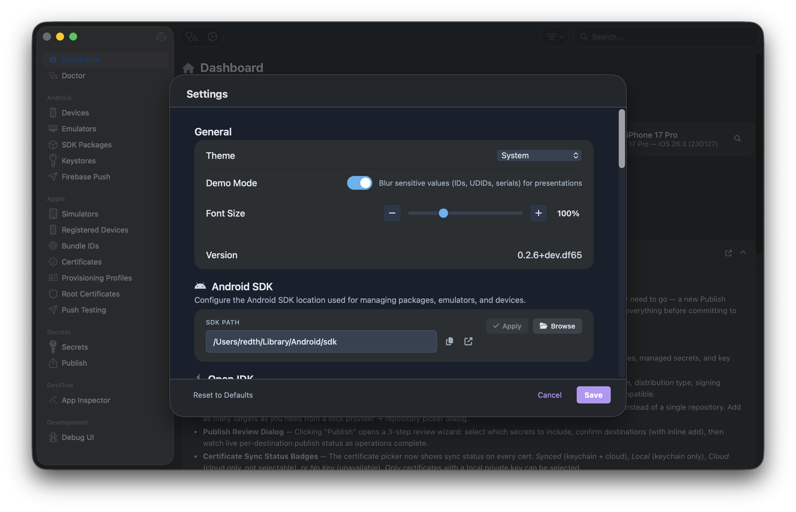 Application settings with theme, font size, and SDK configuration